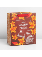 Пакет подарочный «Учитель года» 27х23х11.5 см