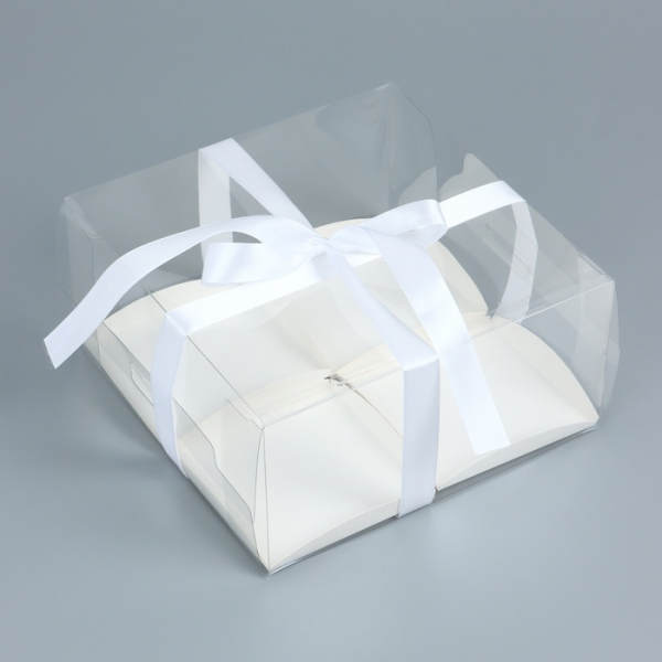 Коробка для пирожных 4 шт пластиковая с ложементом Белая 20×20×10 см