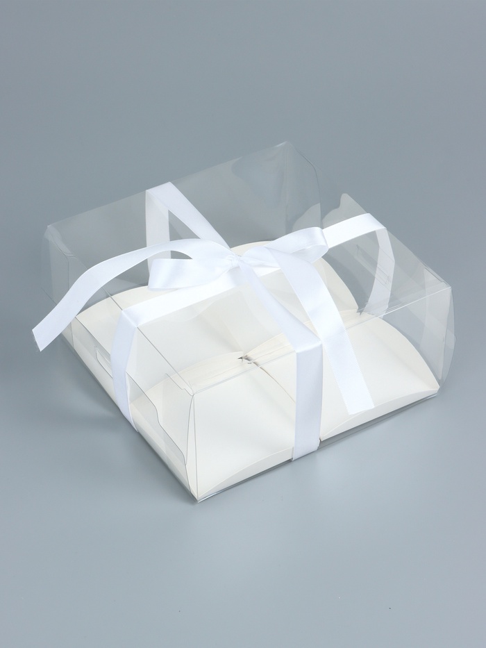 700-12 Коробка для пирожных 4 шт пластиковая с ложементом Белая 20×20×10 см — изображение 1