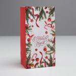 Пакет подарочный без ручек «С Новым годом!», 10×19×7 см