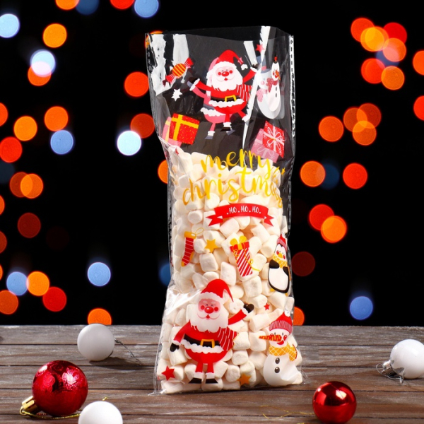 Пакет подарочный Новогодний 13×27 см