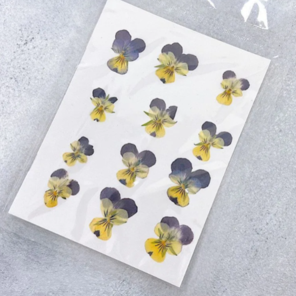 Сухоцвет для леденцов Анютины глазки желтый с фиолетовым 12 шт