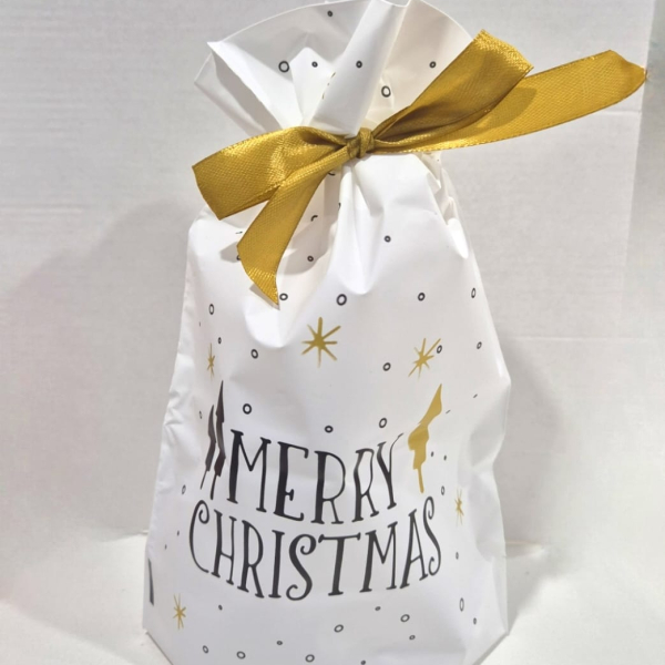 Пакет '' Merry Christmas" полиэтиленовый белый с завязками 15х23 см