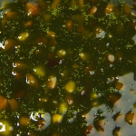 Паста Фисташковая Puratos Summum 65% с кусочками фисташки 100 г — изображение 2