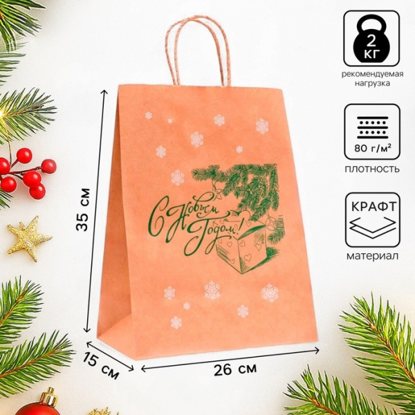 Пакет подарочный Крафт Новогодний, Новый год и подарок! 26×15×35 см